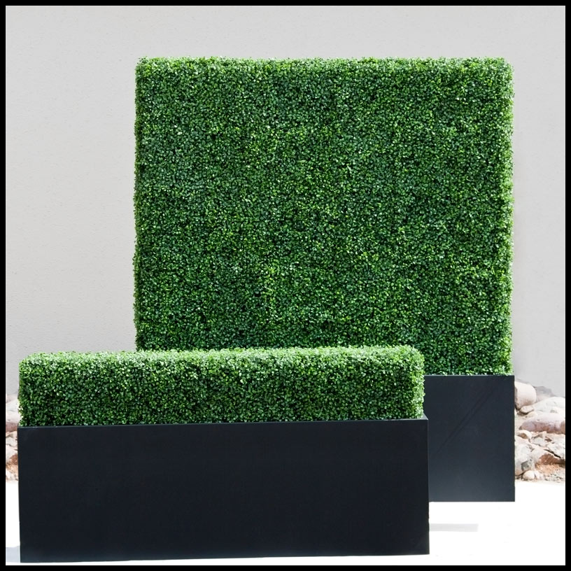 Boxwood Hedge Panels